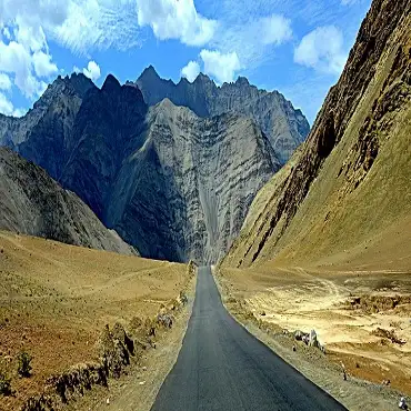 Amazing Ladakh Family Group Tour -8D